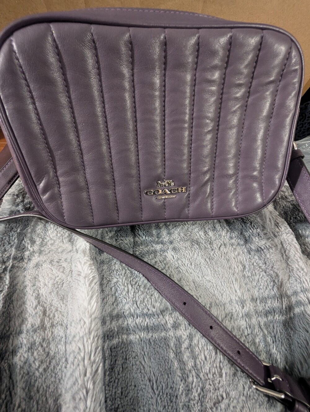 Coach Puffy Linear Quilting Jes Silver Amethyst Leather Crossbody Bag